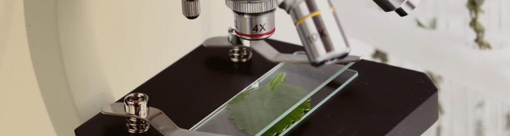 生物化学（Biochemistry）这一名词的出现大约在19世纪末