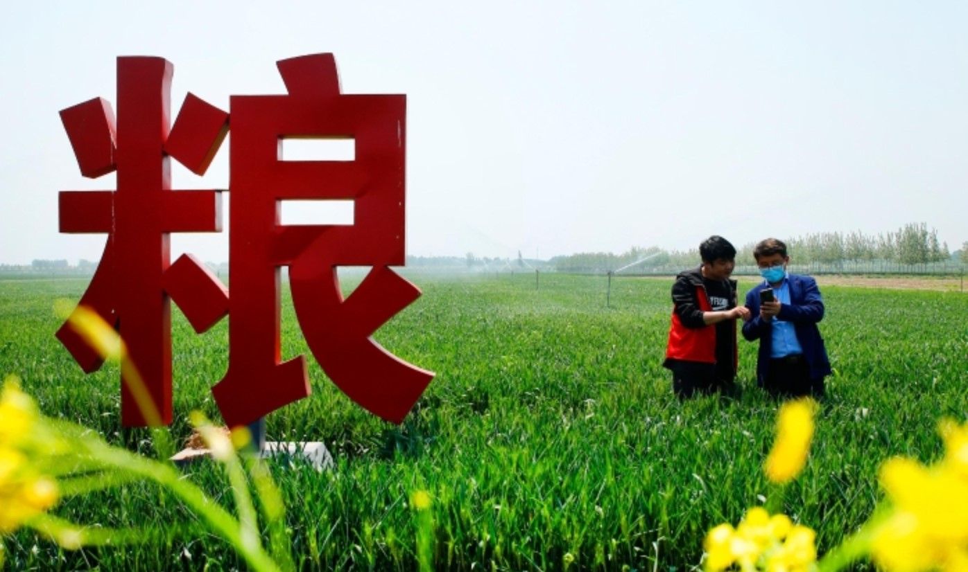 守“中国粮” 强“农业芯”